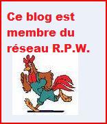 CREATION DU RESEAU R.P.W.